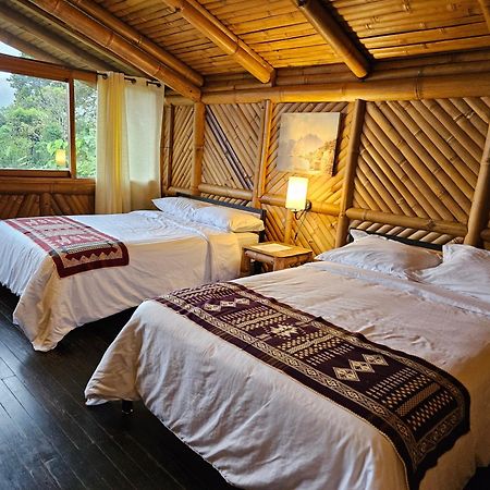 Golden Tree Mindo Eco-Lodge Екстер'єр фото