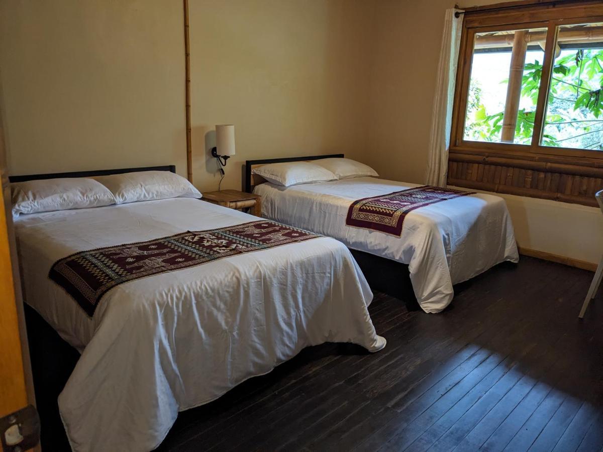 Golden Tree Mindo Eco-Lodge Екстер'єр фото