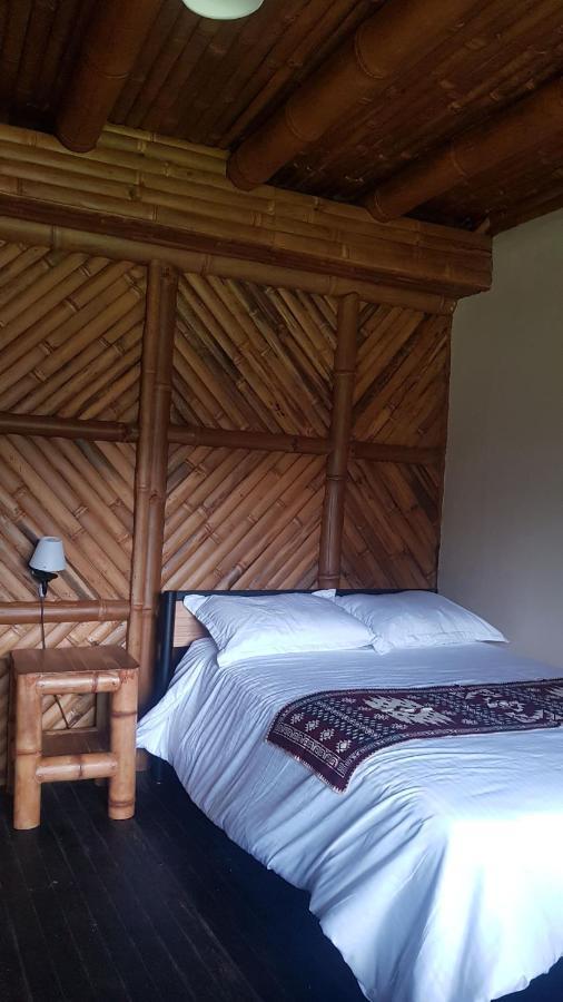 Golden Tree Mindo Eco-Lodge Екстер'єр фото